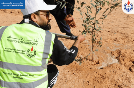 الوطنية للنفط : انطلاق المرحلة الأولى من حملة زراعة مليون شجرة