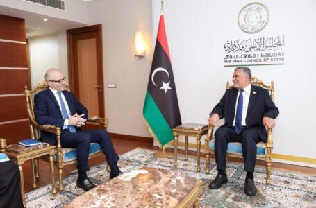 تكالة يبحث مع سفير الاتحاد الأوروبي مستجدات الوضع السياسي الليبـي