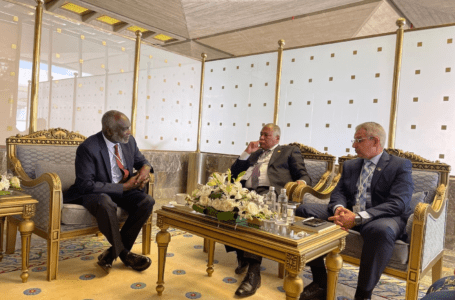 المبروك والبرعصي يبحثان مع وزير المالية السوداني الاستقرار الأمني لتعزيز التعاون الاقتصادي