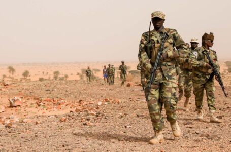 تشاد تستعيد مجموعة من مواطنيها المتمردين من ليبيـا بمساعدة النيجر