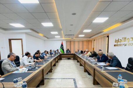 وزارة الاقتصاد تبحث مع منظمة الأغذية والزراعة آلية التعاون لدعم القطاعات الاقتصادية