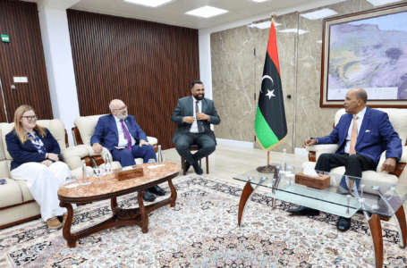 الوضع بالجنوب ورؤية الرئاسي للعمل بنظام المحافظات محور لقاء “الكوني” مع السفير البريطاني
