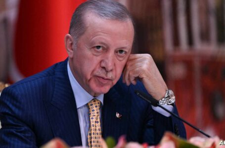 أردوغان: سنواصل دعم أشقائنا الليبيين لتحقيق الاستقرار وإجراء انتخابات نزيهة